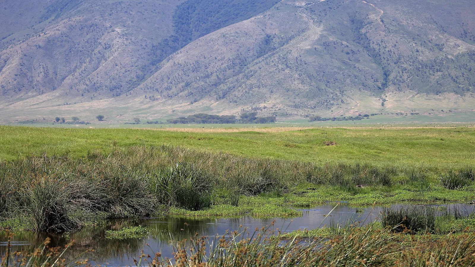 Landscape across Ngorongoro Crater, Tanzania